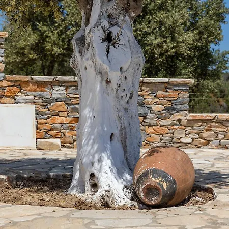 בית נופש Mitatos Naxos - Apeiranthos