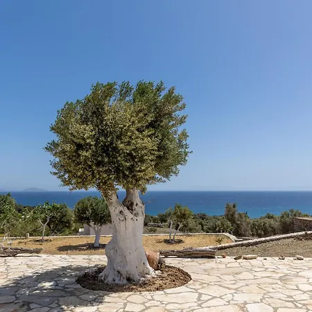 בית נופש Mitatos Naxos - Apeiranthos Ligaridia