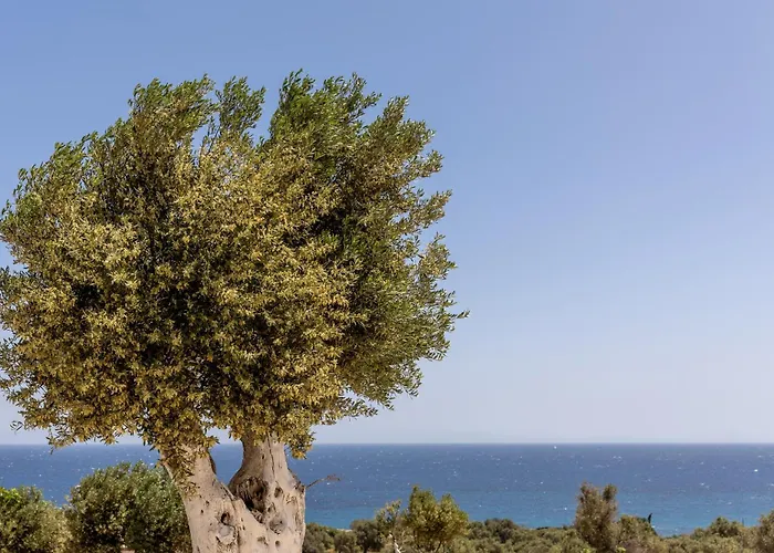 Mitatos Naxos - Apeiranthos *