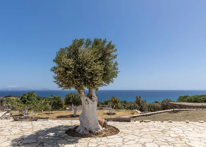 Holiday home Mitatos Naxos - Apeiranthos Ligaridia